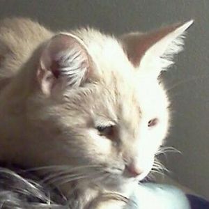 Meet your Posher, Lorrie